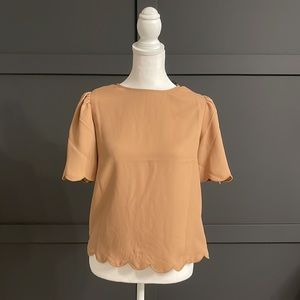 brown scalloped express shirt